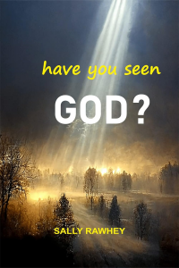 HAVE YOU SEEN GOD?