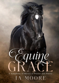 Equine Grace: A Symphony of Horses in Photos and Poetry