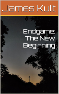 Endgame: The New Beginning