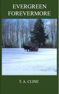 Evergreen Forevermore: A Christian romance story told during the holidays. Love finds a way with John, Ali, and Kate, and a solitary, humble man is saved from an old secret of the Vietnam war.