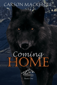 Coming Home (Naitok Valley Book 1)