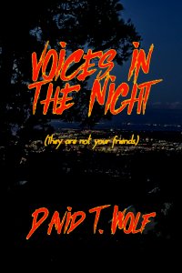 Voices in the Night: They are not your friends. . .