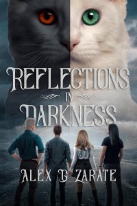 Reflections In Darkness (Connections Book 2)