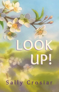 Look Up!: A Novel