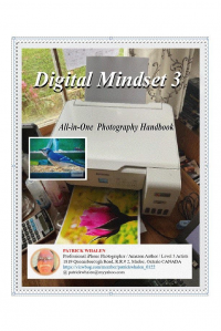 Digital Mindset 3: All-in-One Photography Handbook