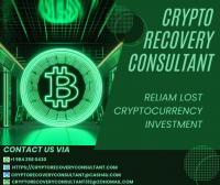 FROM DESPAIR TO TRIUMPH: CRYPTO RECOVERY CONSULTANT