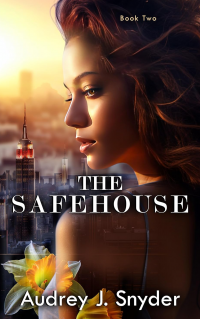 The SafeHouse: Book 2 (The Organization)