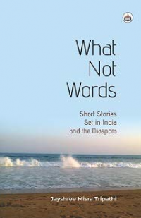 What Not Words Short Stories set in India and the Diaspora