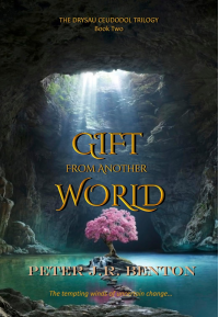 Gift from Another World (The Drysau Ceudodol Trilogy Book 2)