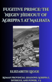 Fugitive Prince: The Negev Hideout of Agrippa I (Roman Provincial Shadows: Agrippa I, Intrigue, and Power Book 3) - Published on May, 2024