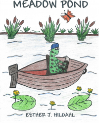 Meadow Pond paperback