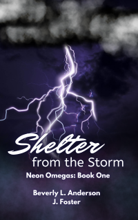 Shelter from the Storm - Published on Nov, -0001