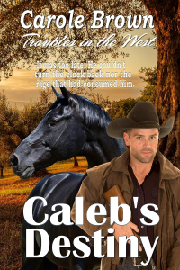 Caleb's Destiny (Troubles in the West Book 1)