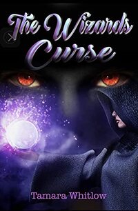 The Wizards Curse (The Angel Trilogy Book 2)