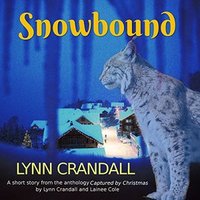 Snowbound: A Short Story from the Anthology Captured by Christmas
