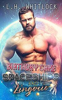 Birthday Cake, Spaceships and Lingerie: A sci-fi romance adventure