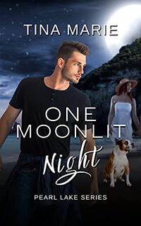 One Moonlit Night - Published on Jan, 2021