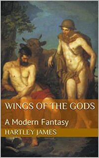 Wings of the Gods: A Modern Fantasy