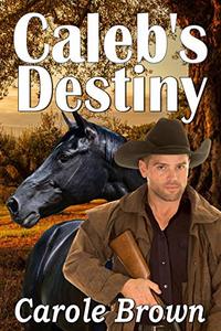 Caleb's Destiny (Troubles in the West Book 1)