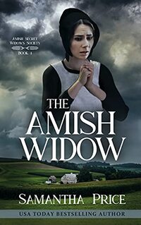 The Amish Widow: Amish Mystery series (Amish Secret Widows' Society Book 1)