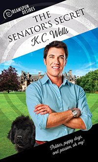 The Senator's Secret (Dreamspun Desires Book 17)