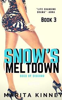 African American Christian Romance: Snow's Meltdown 3 : Seed of Discord (The Snow Series)