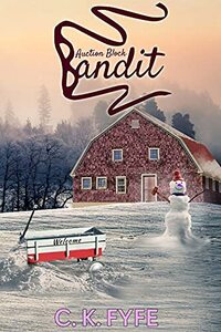 Auction Block Bandit: A Short Cozy Mystery