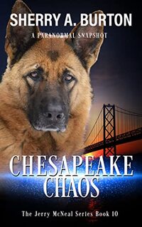 Chesapeake Chaos: Book 10 in The Jerry McNeal Series (A Paranormal Snapshot) - Published on Oct, 2022