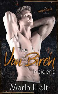 The Van Birch Incident: A Rock Star Romance (The Incident Series Book 1)