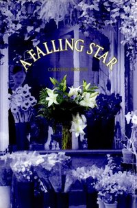 A Falling Star