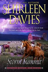 Storm Summit (Redemption Mountain Historical Western Romance Book 14)