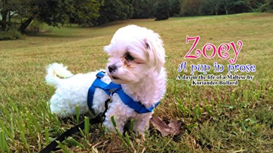 Zoey - A Pup In Prose: A day in the life of a Maltese in haiku