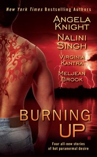 Burning Up (Psy/Changeling Series)