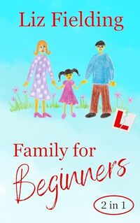 Family for Beginners: Mother Makes Three and Her Ideal Husband