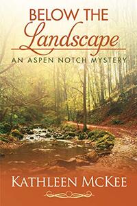 Below the Landscape (The Aspen Notch Mystery Series Book 4)