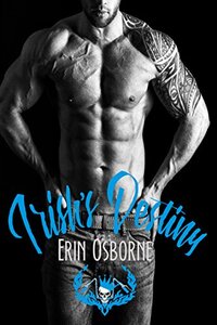 Irish's Destiny (Wild Kings MC Book 6)