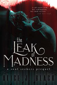 The Leak of Madness (The Soul Seekers Book 0)