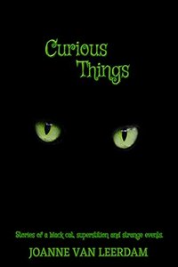 Curious Things: Stories of a black cat, superstition, and strange events.