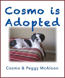 Cosmo Is Adopted