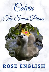 Calvin The Swan Prince