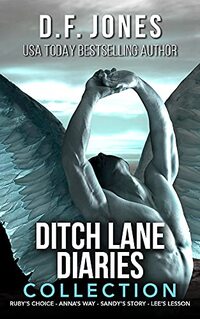 Ditch Lane Diaries: Angel Series - Published on Feb, 2017