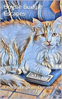 Boysie Budgie Escapes: The Land of Meow 4