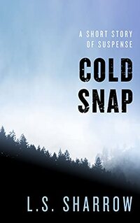 COLD SNAP: A short story of suspense