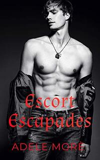 Escort Escapades: The Beginning - A Reverse Harem Erotic Short Story (Book 1)