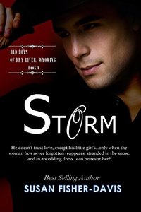 Storm Bad Boys of Dry River, Wyoming Book 6