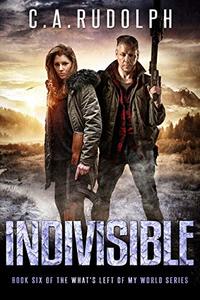 Indivisible: Book Six of the What's Left of My World Series