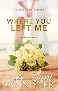 Where You Left Me, Vol. 1: A Lust to Lovers Romance - Published on Feb, 2022