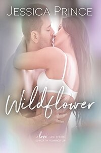 Wildflower (a Colors novel): A Small-Town Second Chance Romantic Comedy