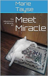 Meet Miracle (The Adventures of Miracle Book 1)