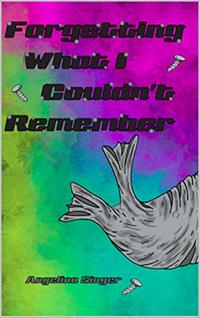 Forgetting What I Couldn't Remember (The Rewind Duology Book 1)